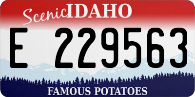 ID license plate E229563