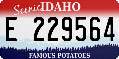 ID license plate E229564