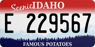 ID license plate E229567