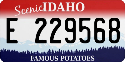 ID license plate E229568