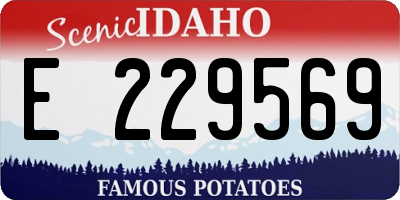 ID license plate E229569