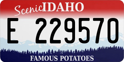 ID license plate E229570