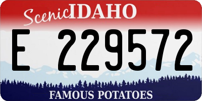 ID license plate E229572