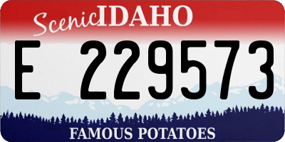 ID license plate E229573