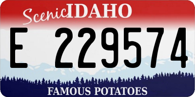 ID license plate E229574