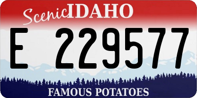 ID license plate E229577