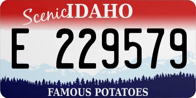 ID license plate E229579