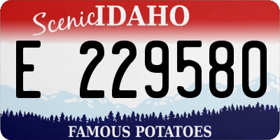 ID license plate E229580
