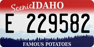 ID license plate E229582