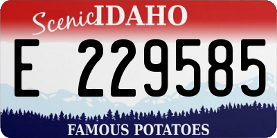 ID license plate E229585