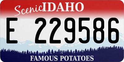 ID license plate E229586