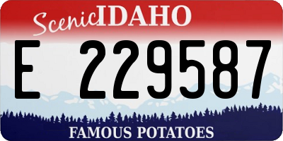ID license plate E229587