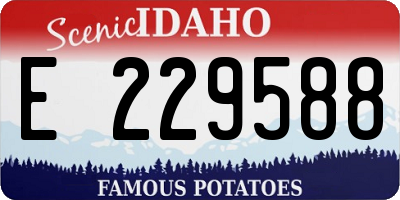 ID license plate E229588