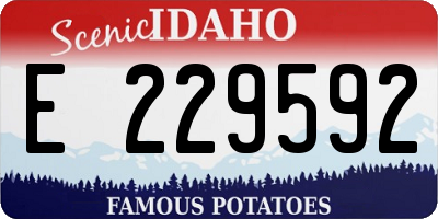 ID license plate E229592