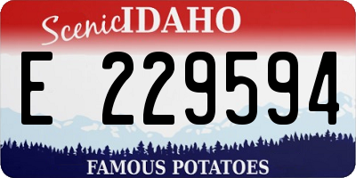 ID license plate E229594