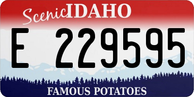 ID license plate E229595