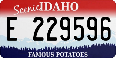 ID license plate E229596