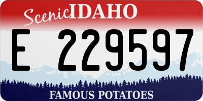 ID license plate E229597