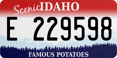 ID license plate E229598