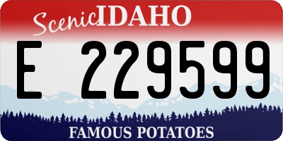 ID license plate E229599