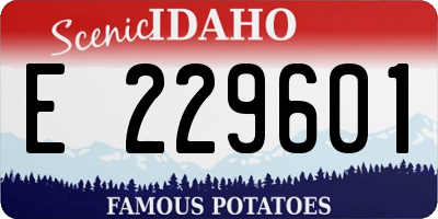 ID license plate E229601