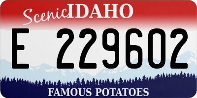 ID license plate E229602