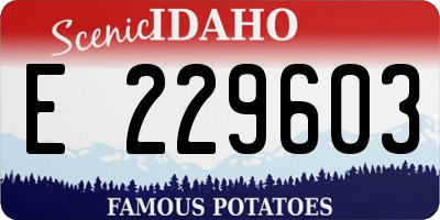 ID license plate E229603
