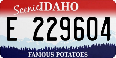 ID license plate E229604