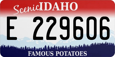 ID license plate E229606