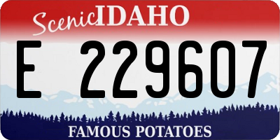 ID license plate E229607