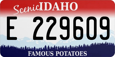 ID license plate E229609