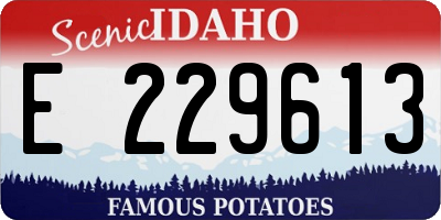 ID license plate E229613