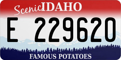 ID license plate E229620