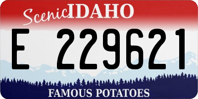 ID license plate E229621