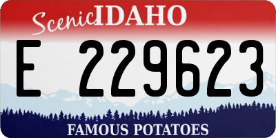 ID license plate E229623