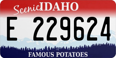 ID license plate E229624