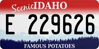 ID license plate E229626