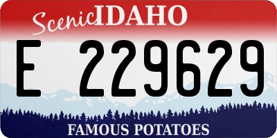 ID license plate E229629