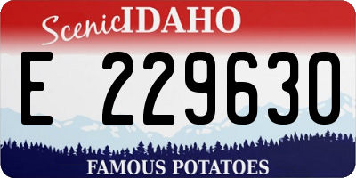 ID license plate E229630