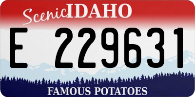 ID license plate E229631