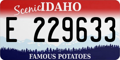 ID license plate E229633