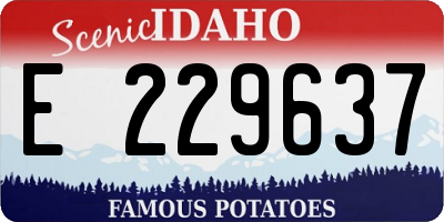 ID license plate E229637