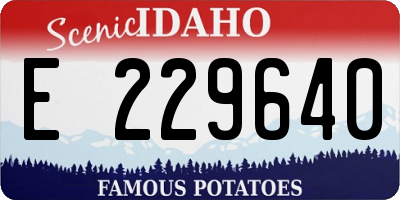 ID license plate E229640