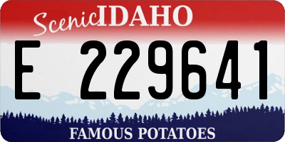 ID license plate E229641