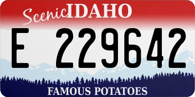ID license plate E229642