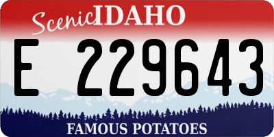 ID license plate E229643