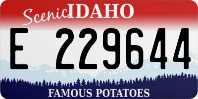 ID license plate E229644
