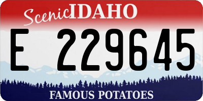 ID license plate E229645