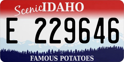 ID license plate E229646