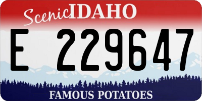 ID license plate E229647